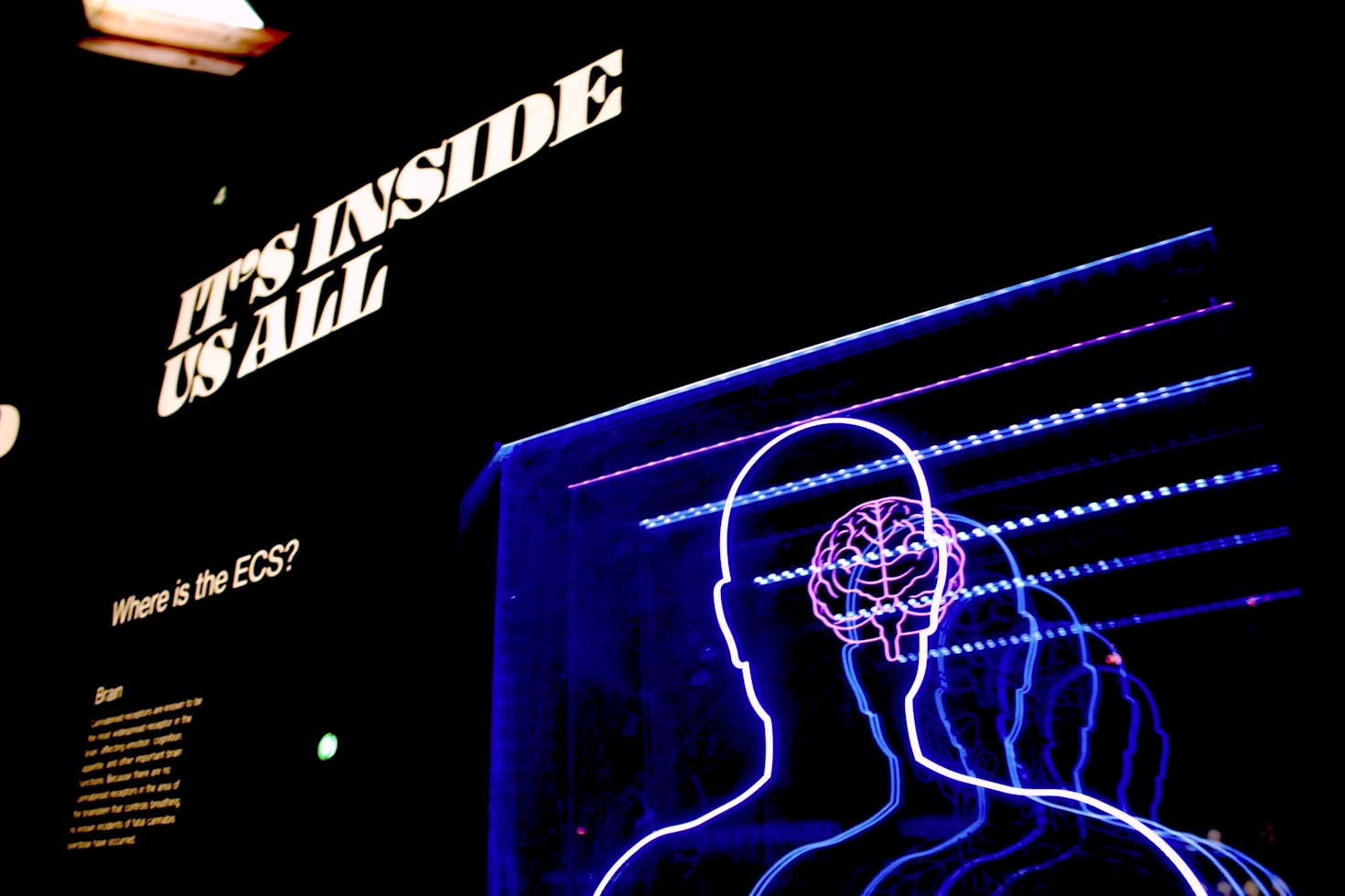 Come la psicologia può migliorare la tua vita